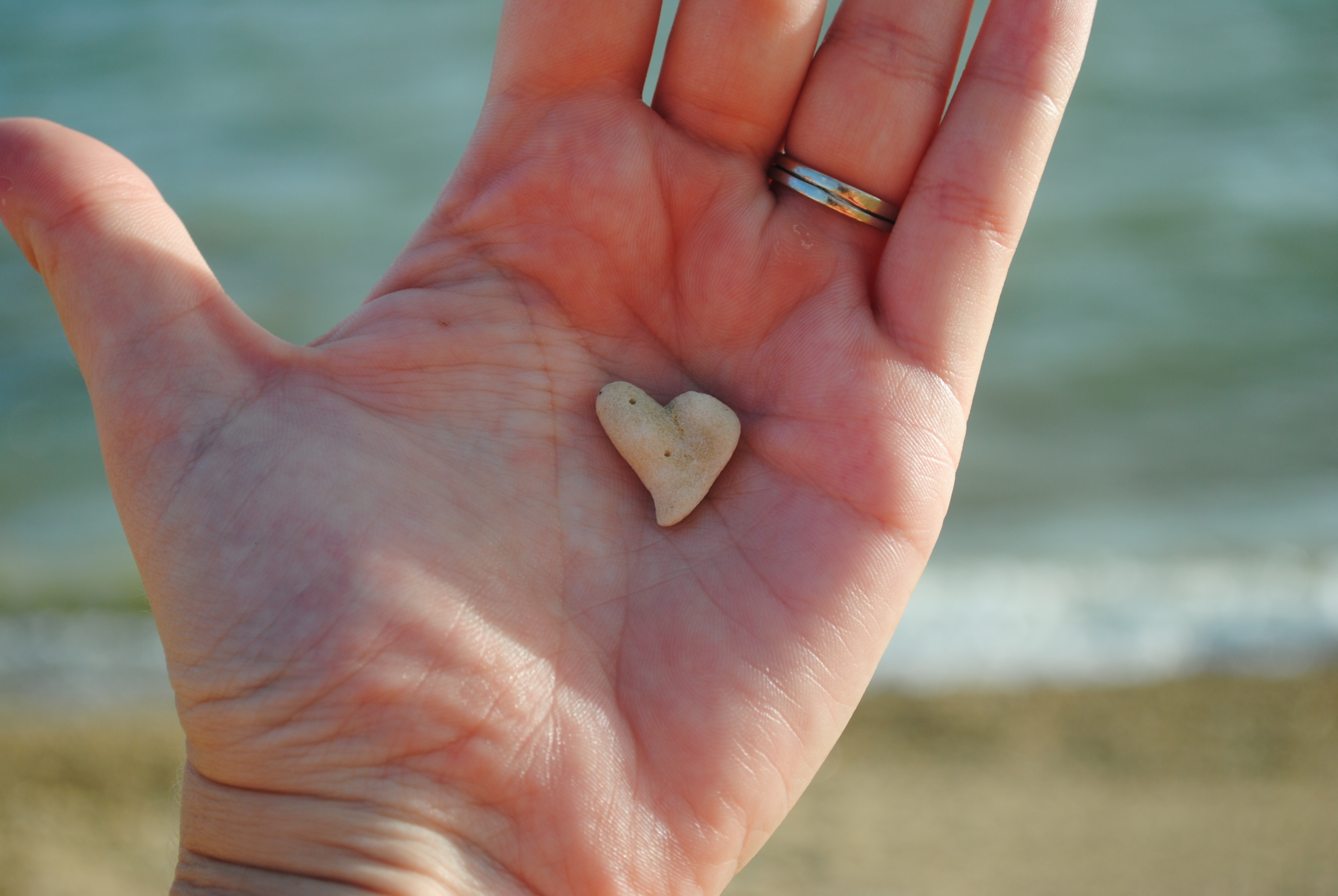 Heart Shaped Stone Heart Shaped Stone